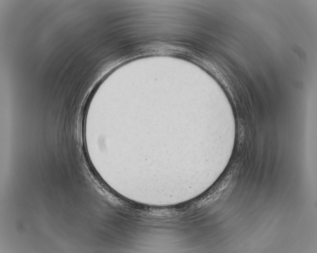 X0000111040843200908061455