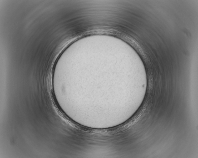 X0000111040844200908061455