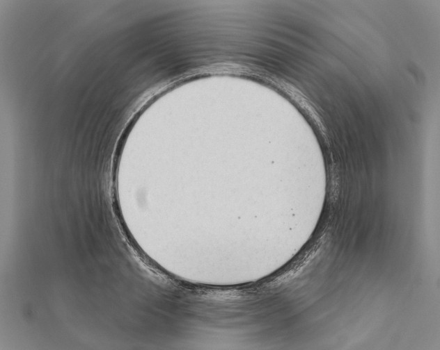 X0000111040845200908061455