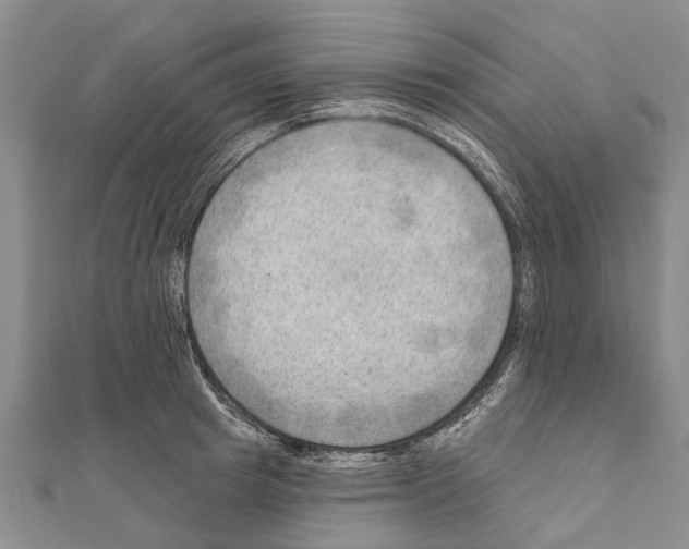 X0000111040849200908061455