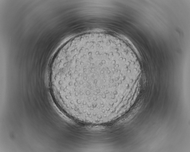 X0000111040851200908061455