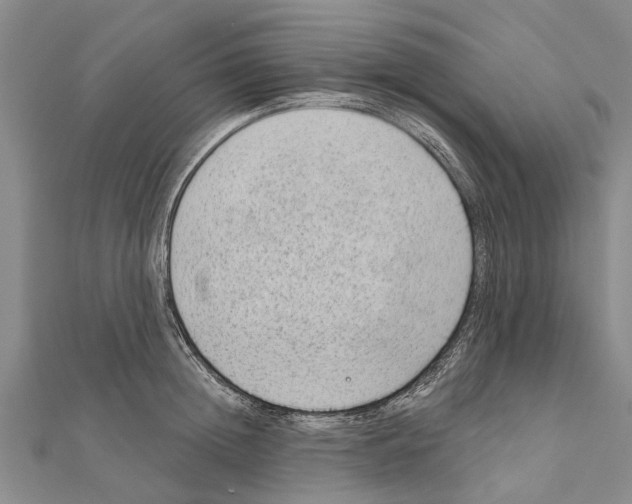 X0000111040852200908061455