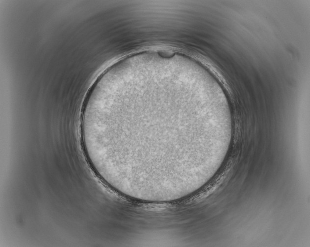 X0000111040853200908061455