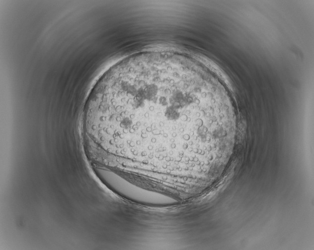 X0000111040855200908061455