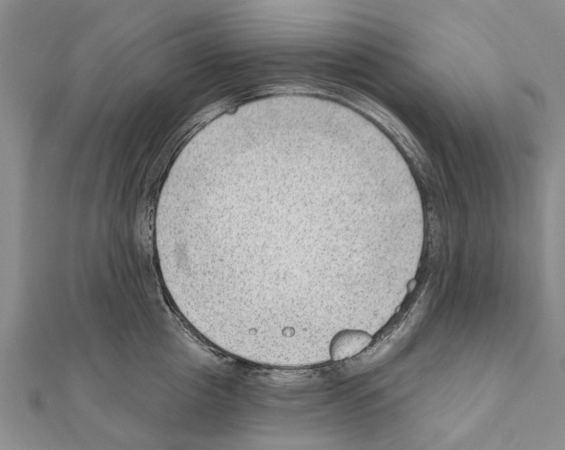 X0000111040857200908061455