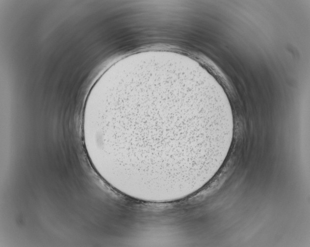 X0000111040860200908061455