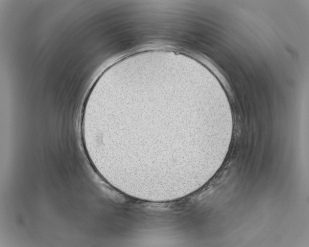 X0000111040861200908061455