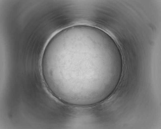 X0000111040864200908061455