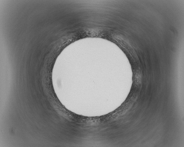 X0000111040865200908061455