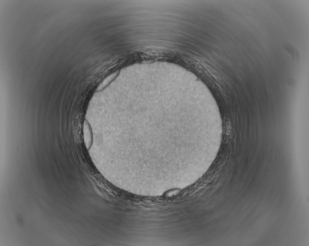 X0000111040868200908061455