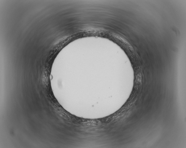 X0000111040869200908061455