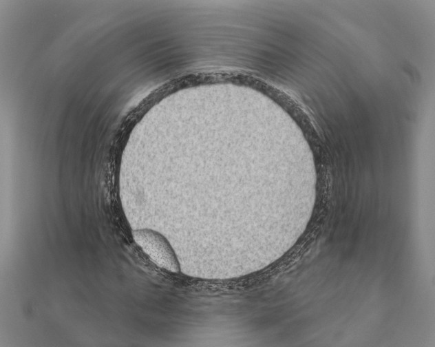 X0000111040871200908061454