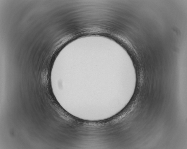 X0000111040873200908061454