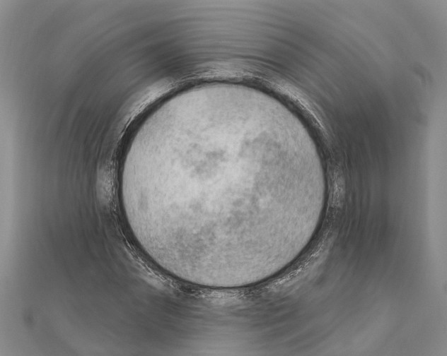 X0000111040874200908061454