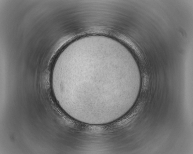 X0000111040878200908061454