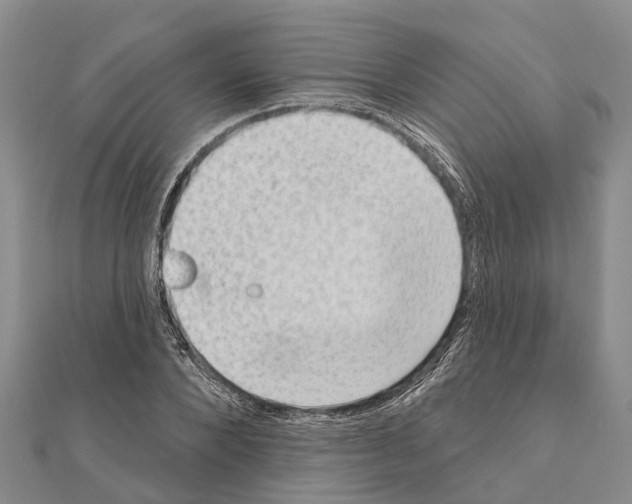 X0000111040880200908061454