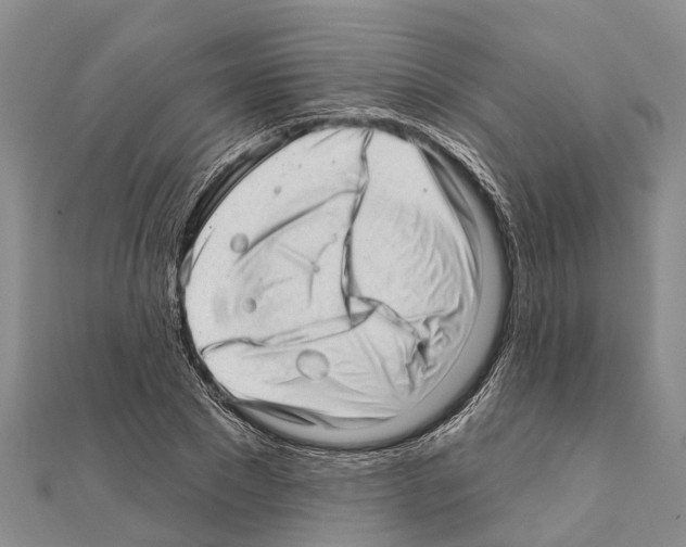 X0000111040881200908061454