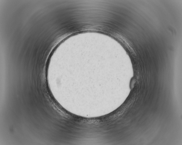 X0000111040884200908061454