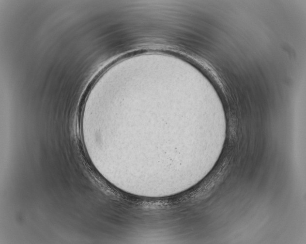 X0000111040887200908061454