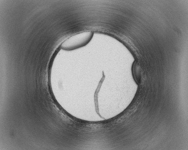 X0000111040888200908061454