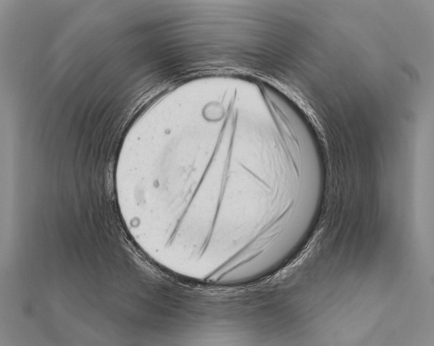 X0000111040889200908061454