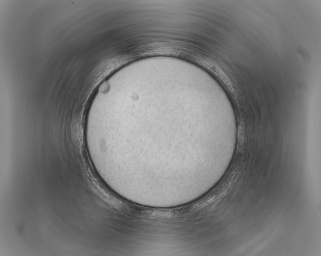 X0000111040890200908061454