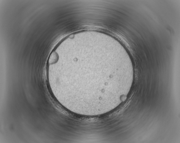 X0000111040891200908061454