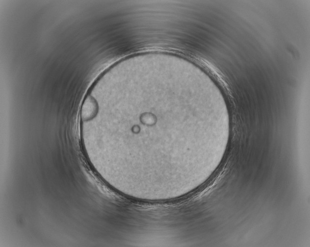 X0000111040892200908061454