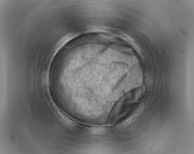 X0000111040893200908061454