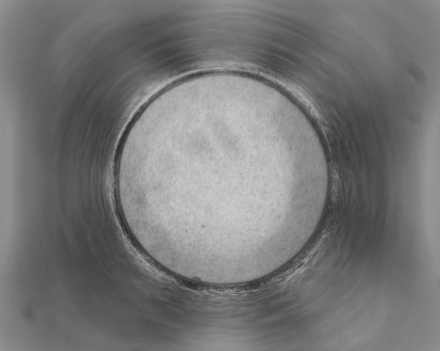 X0000111040895200908061454