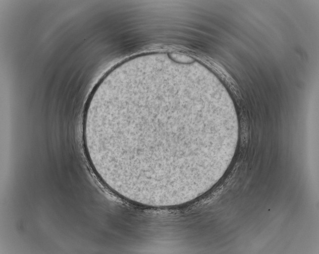 X0000111040896200908061454