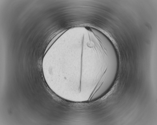 X0000111040897200908061454