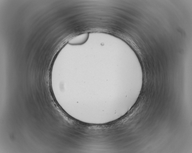 X0000111040898200908061454