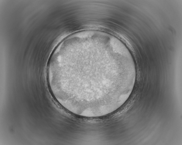 X0000111040899200908061454