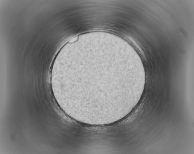 X0000111040900200908061454