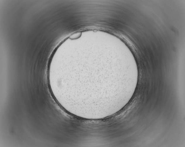 X0000111040902200908061454