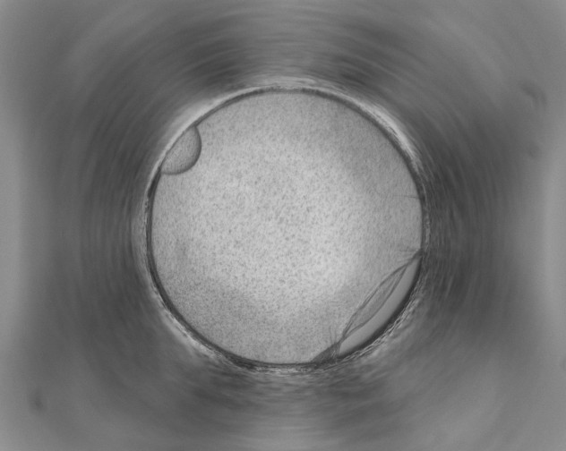 X0000111040903200908061454