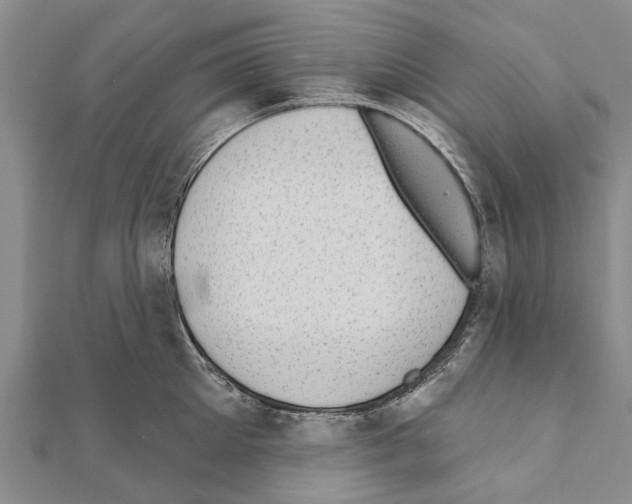 X0000111040905200908061454