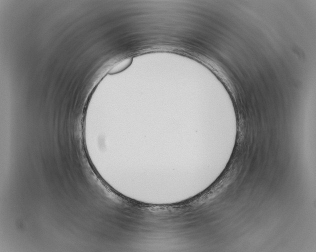 X0000111040906200908061454