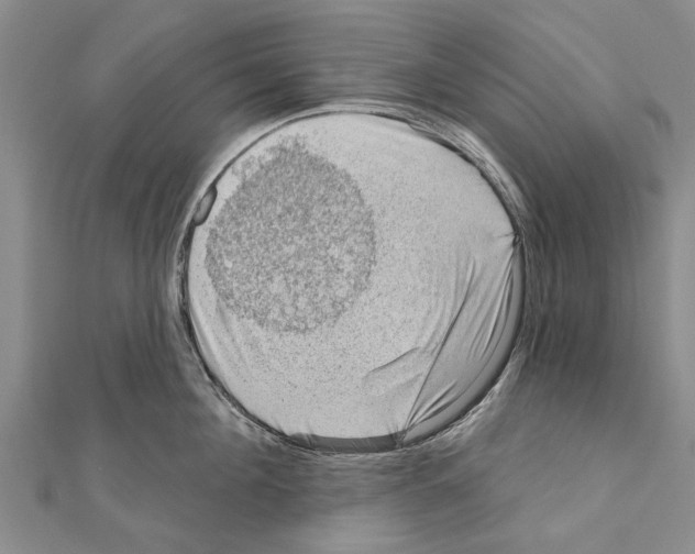 X0000111040908200908061454