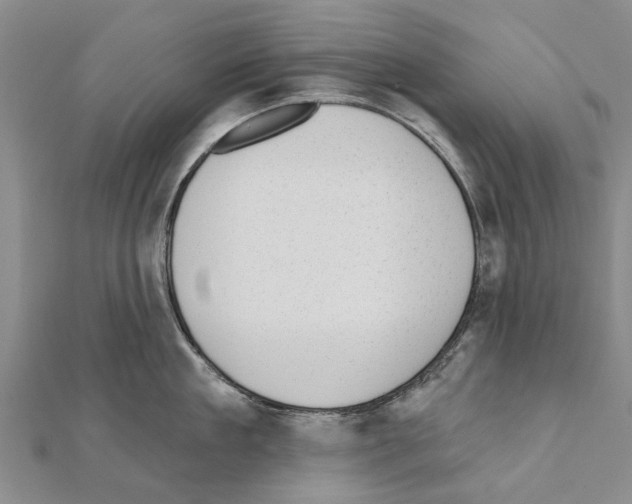 X0000111040909200908061454