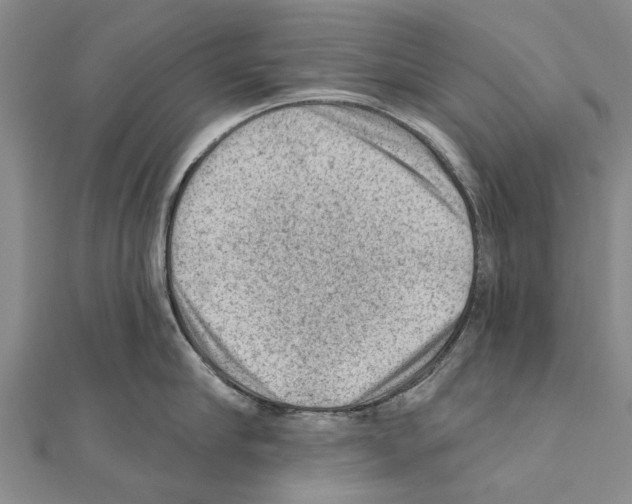 X0000111040910200908061454