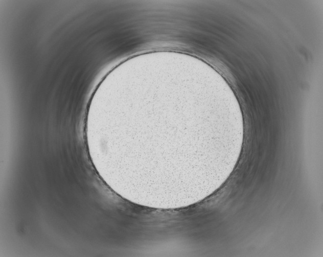 X0000111040912200908061454