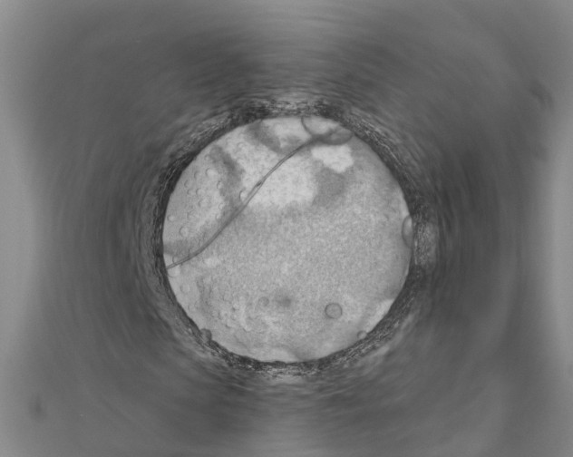 X0000111040913200908061453