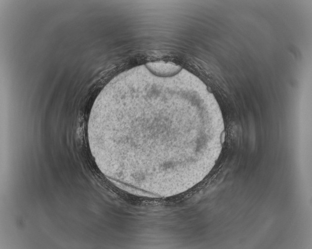 X0000111040914200908061453