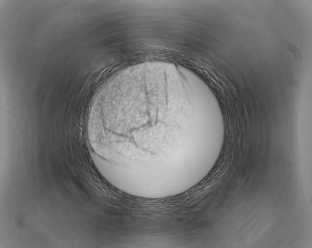 X0000111040916200908061453