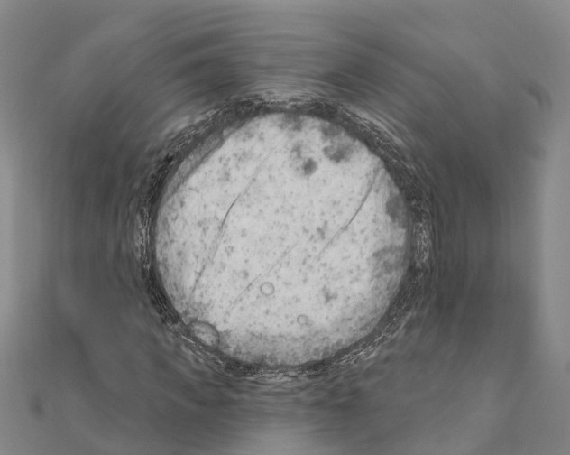 X0000111040917200908061453