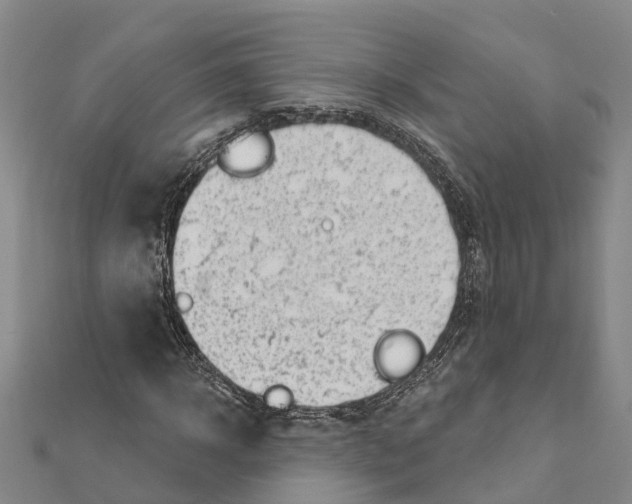 X0000111040918200908061453