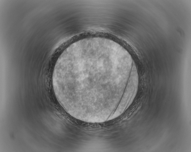 X0000111040919200908061453