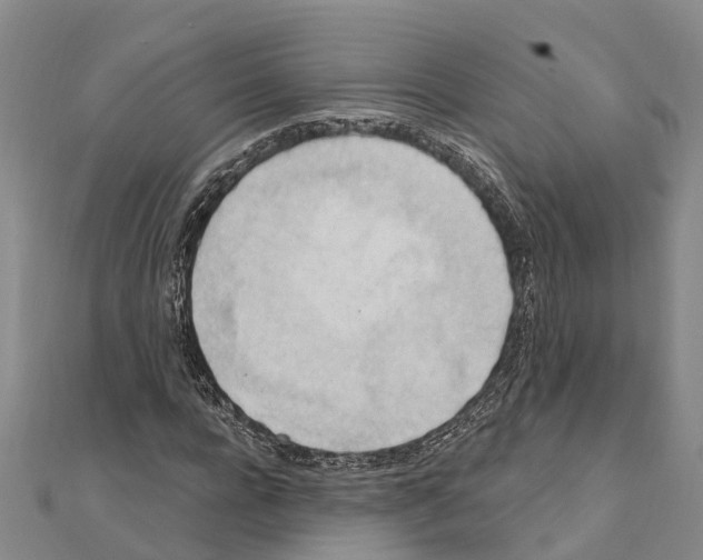 X0000111040920200908061453